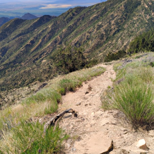 F2783857 E4F7 4F66 B6E7 609595D178D2