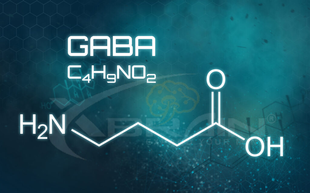 Alpha Brain Ingredients - GABA 1 gaba alpha brain onnit