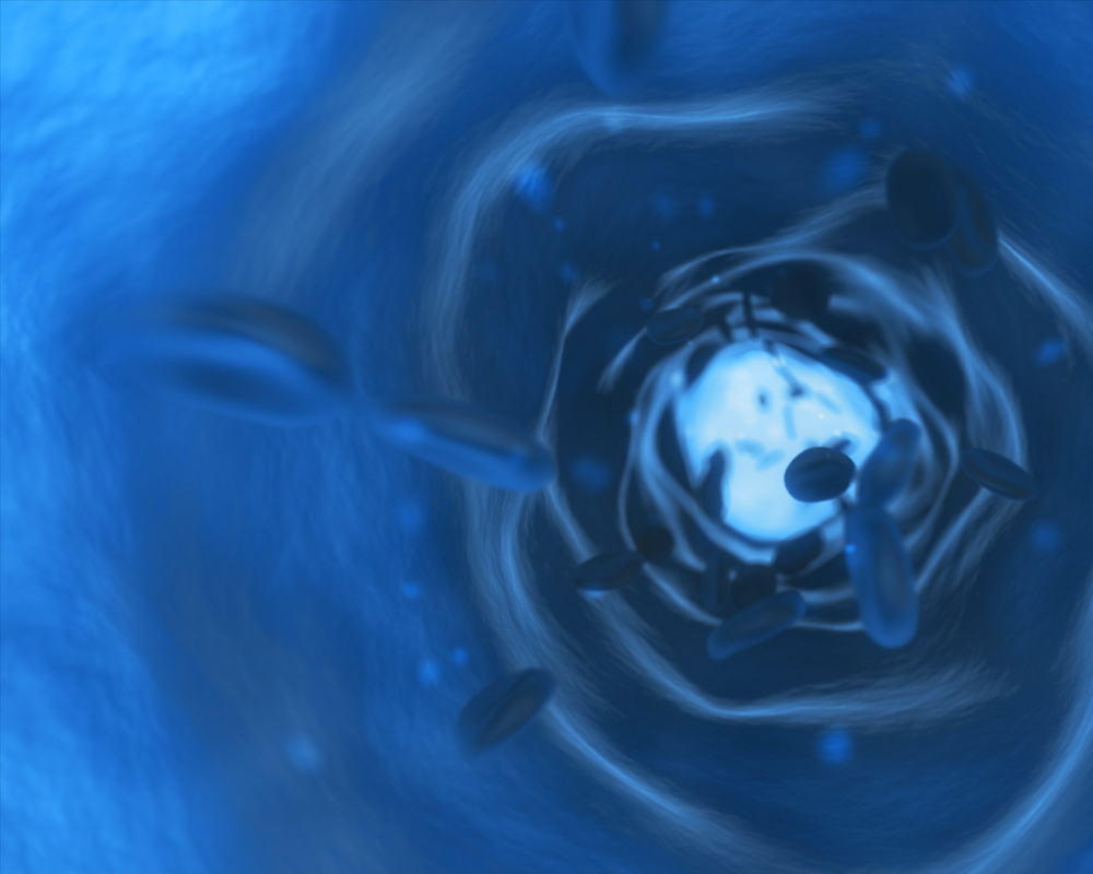 shutterstock 114377263