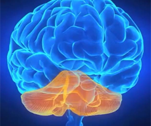 alpha brain review 3 276