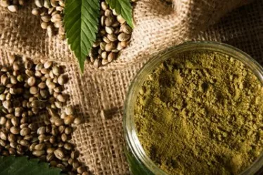 shutterstock 773980048 jpg